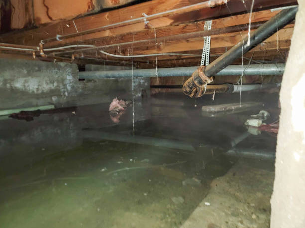 Reliable Fair Plain, MI Water damage restoration Solutions