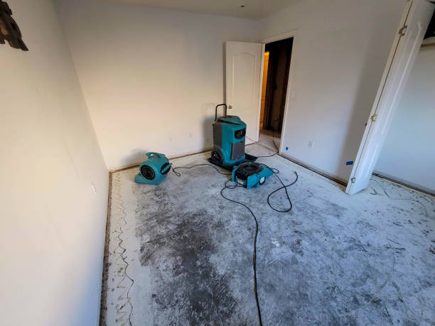 Best Water damage restoration near me  in Fair Plain, MI