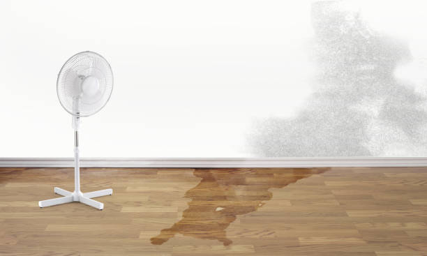 Best Emergency water damage restoration  in Fair Plain, MI