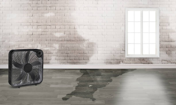 Best Water damage restoration cost  in Fair Plain, MI