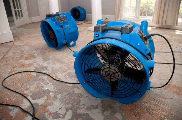 Best Professional water damage repair  in Fair Plain, MI