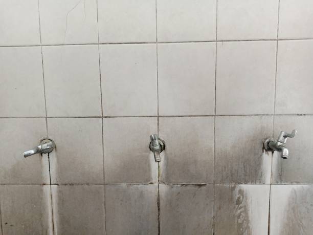 Best 24/7 water damage repair  in Fair Plain, MI