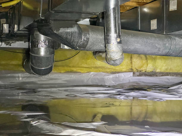 Best Fire Damage Restoration  in Fair Plain, MI
