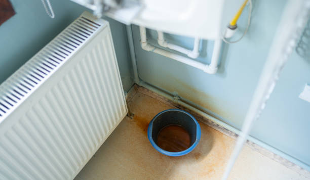 Best Water damage restoration specialists  in Fair Plain, MI