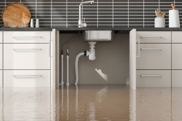 Sewage cleanup and water damage restoration in Fair Plain, MI