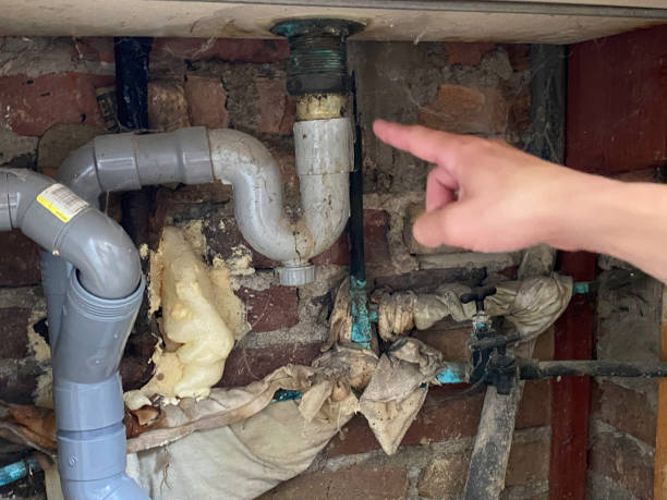 Water damage restoration insurance claims in Fair Plain, MI