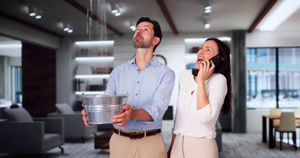 Best Residential water damage restoration  in Fair Plain, MI