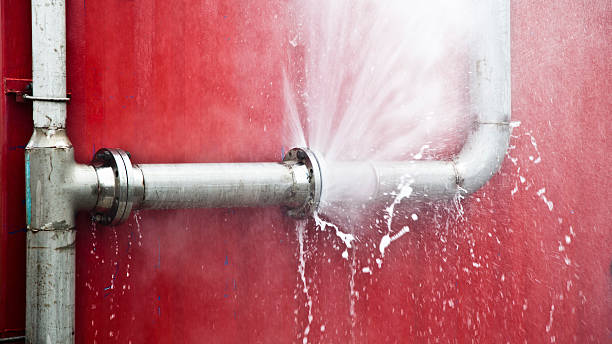 Best Water damage contractors near me  in Fair Plain, MI