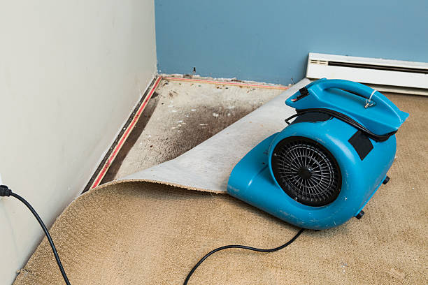 Best Water damage restoration insurance claims  in Fair Plain, MI